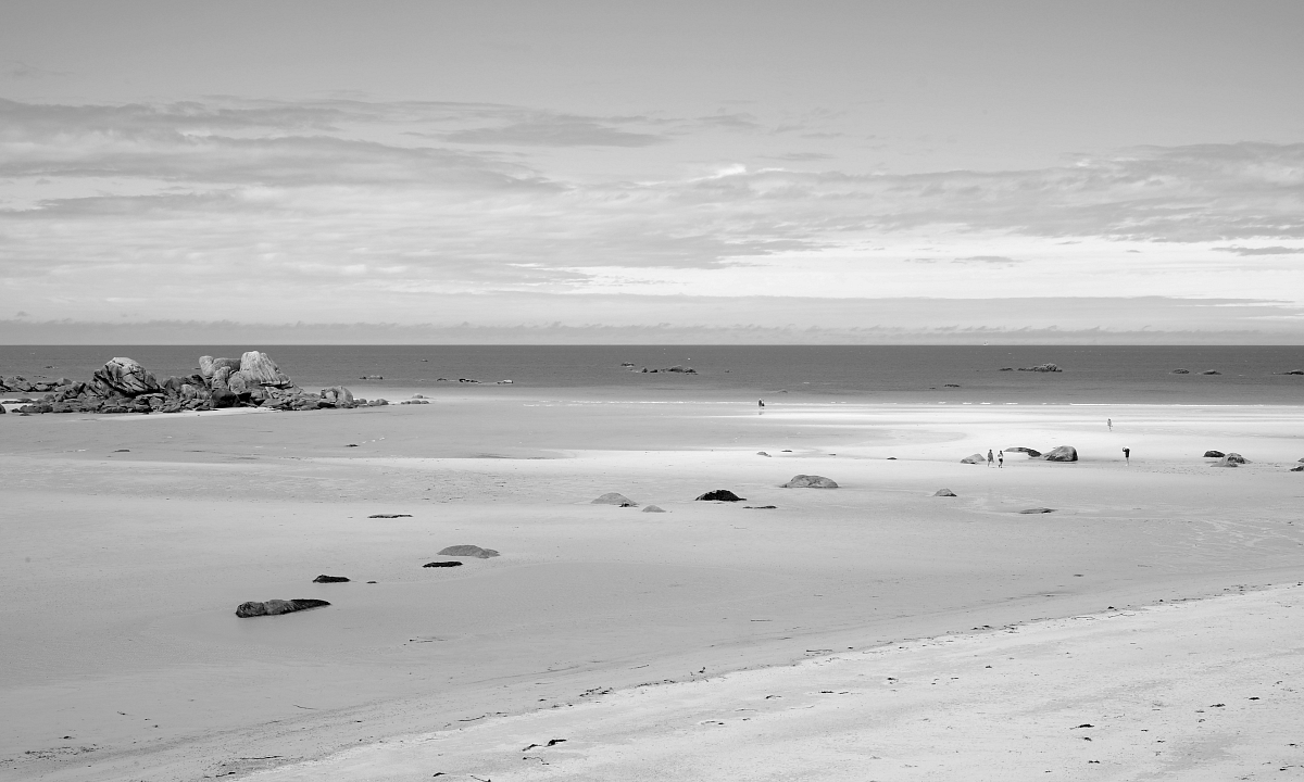 AUFTRITTSKOMPETENZ 2025