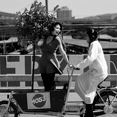 BRÜCKENPOESIE Kantons- und Stadtentwicklung Basel-Stadt / Medien- und TheaterFalle  Basel 2013