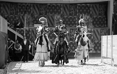 Karl der Kühne PAS D`ARMES Historisches Museum Bern 2008